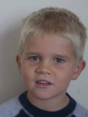 0411max.jpg